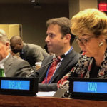 Ireland delivering joint statement (Article 36)